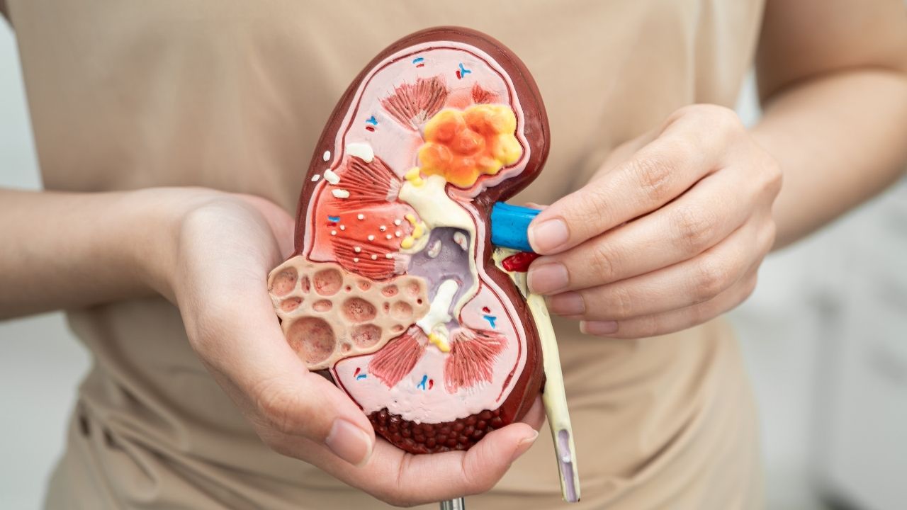 How to prevent kidney failure