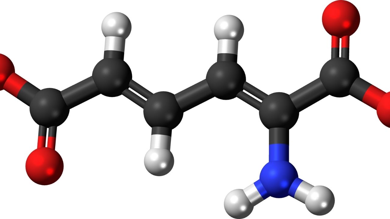 Causes of High Uric Acid in the Body