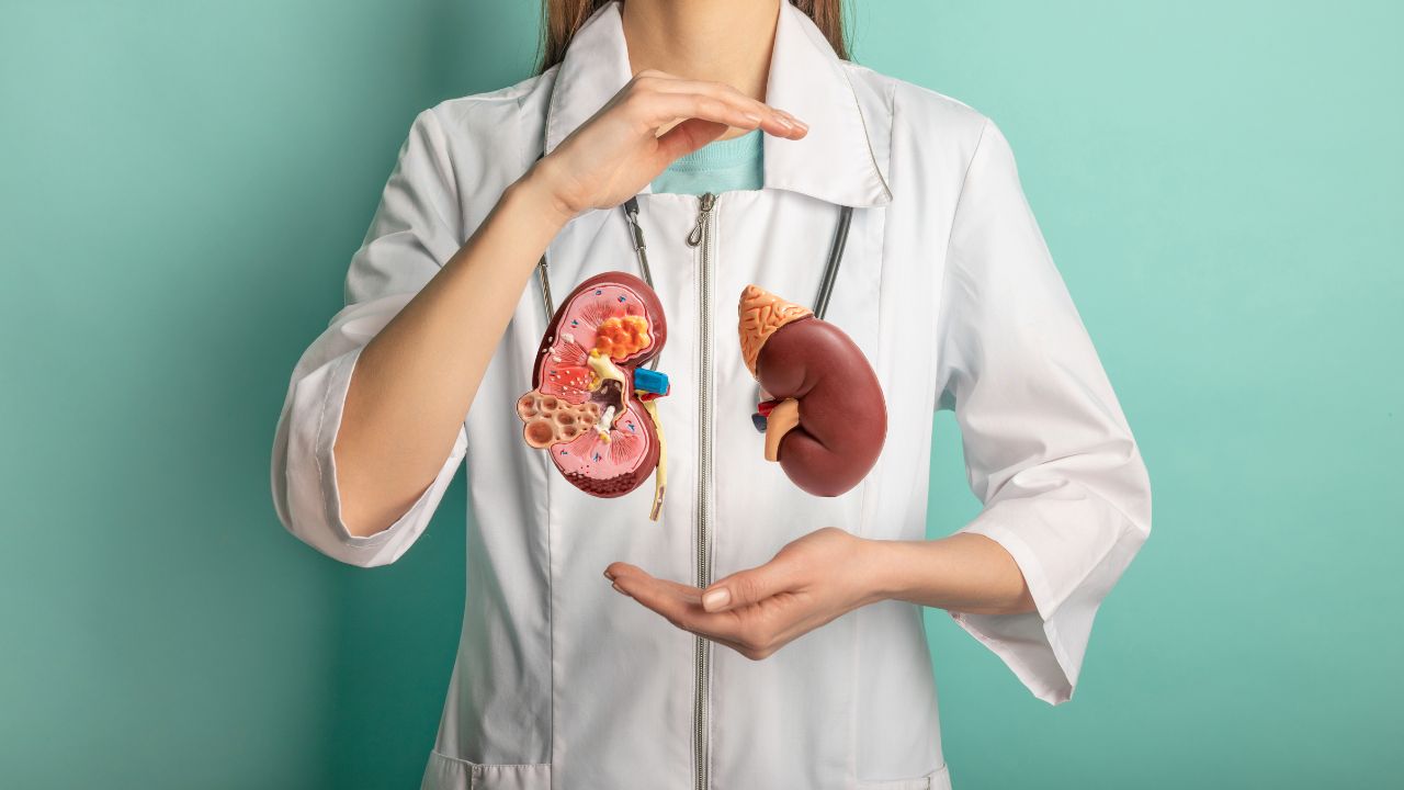What Is Kidney Dialysis And How It Works