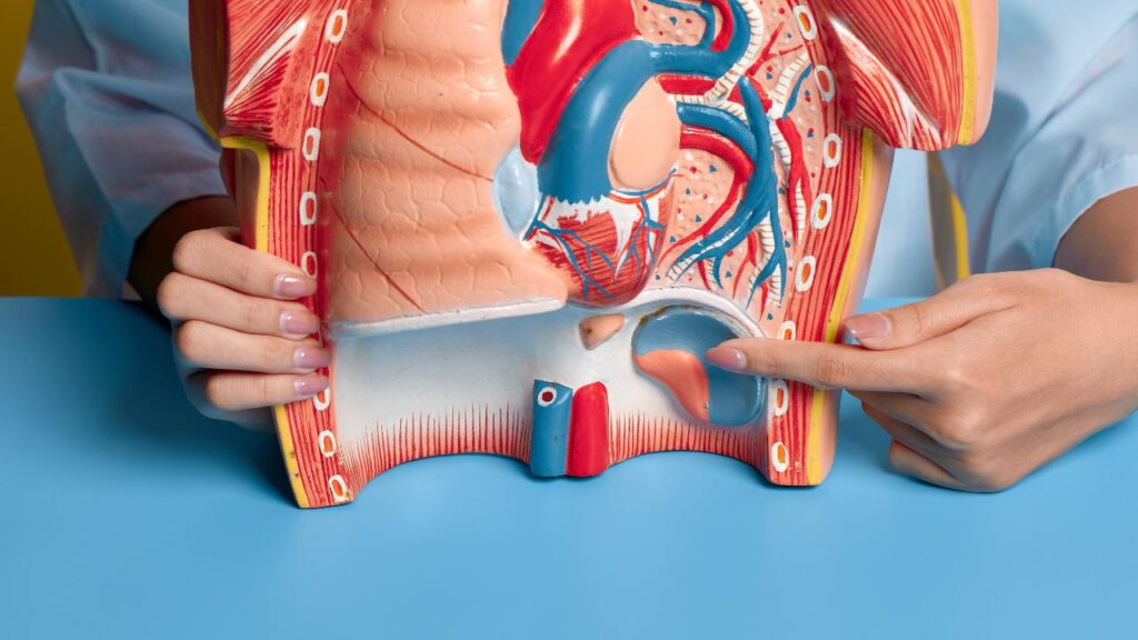 Best Kidney Stone Specialist in Chandigarh