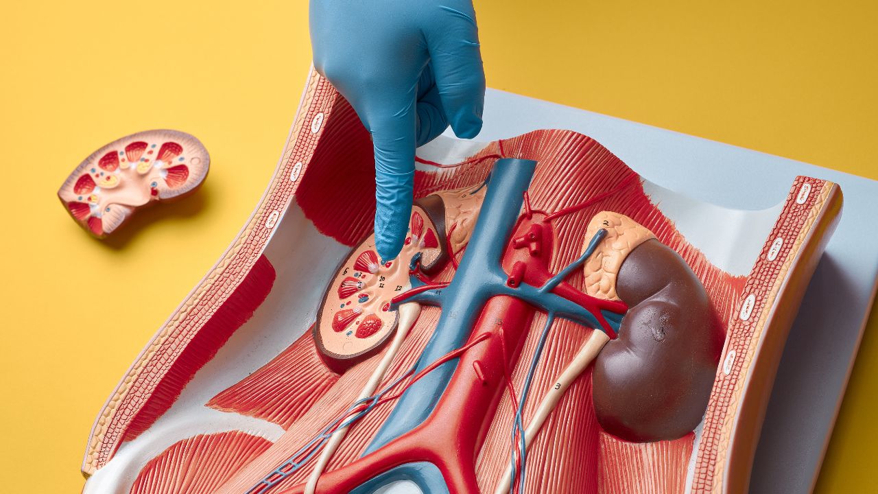 Symptoms of Kidney Stones
