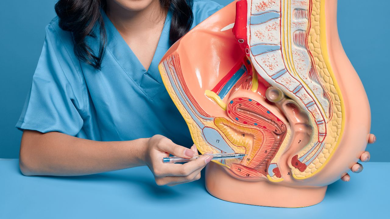 What Does a Urologist Do?
