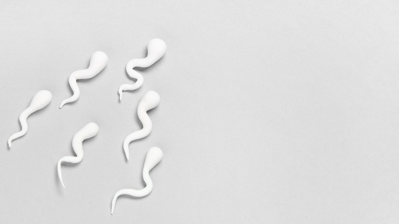 what are the major causes of premature ejaculation